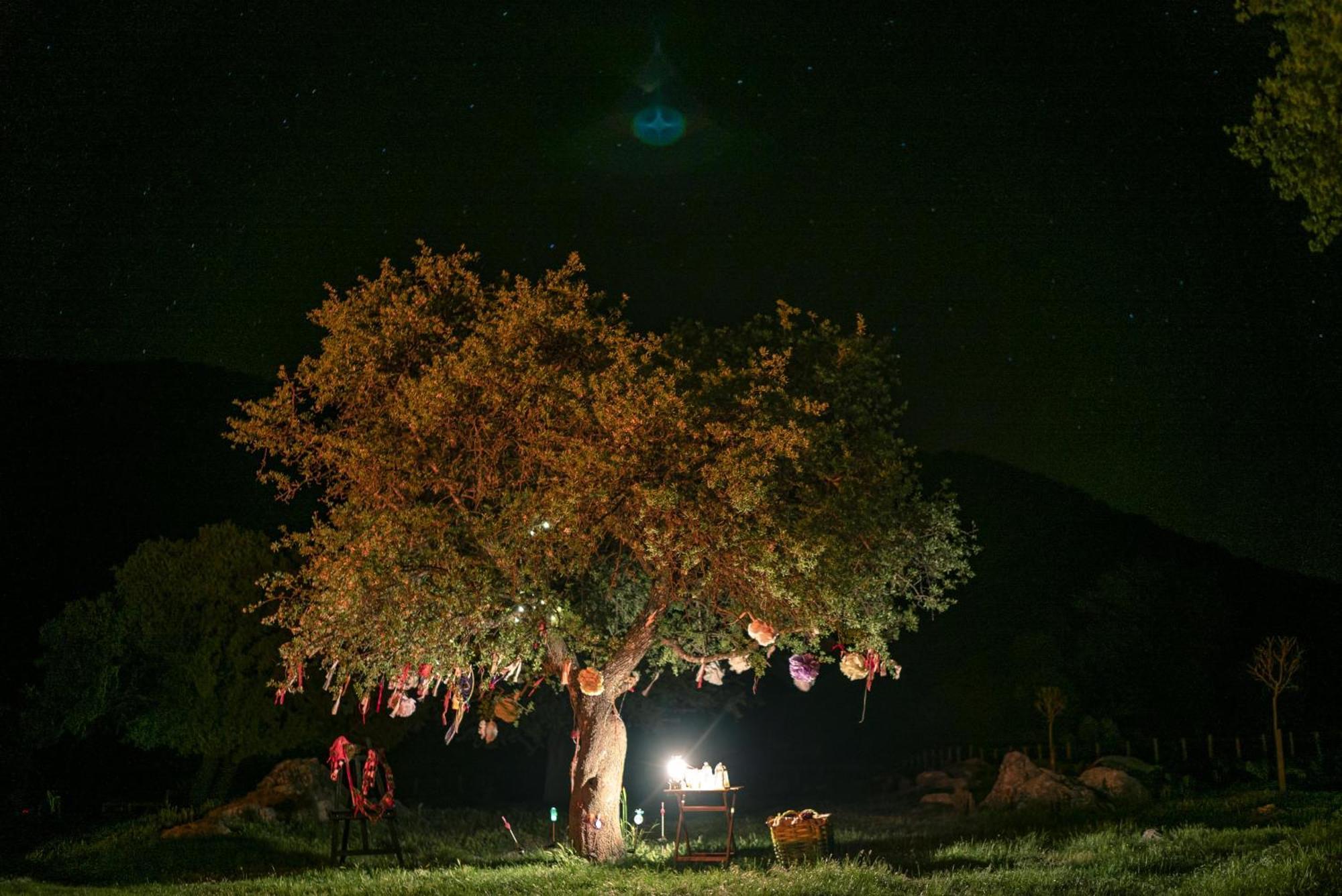 Babakamp Eco Ranch & Retreat Hotel Oludeniz Kültér fotó